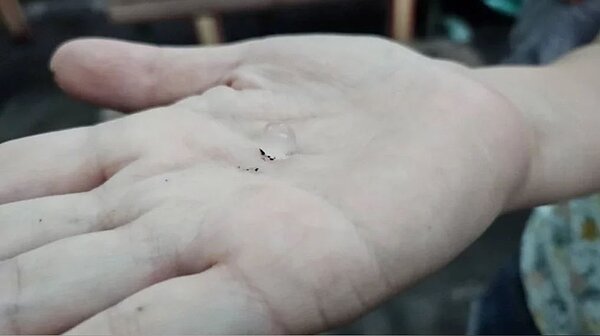 雲林地區8日下午難得下起冰雹,許多人撿起冰雹拍照留念。記者蔡維斌/翻攝