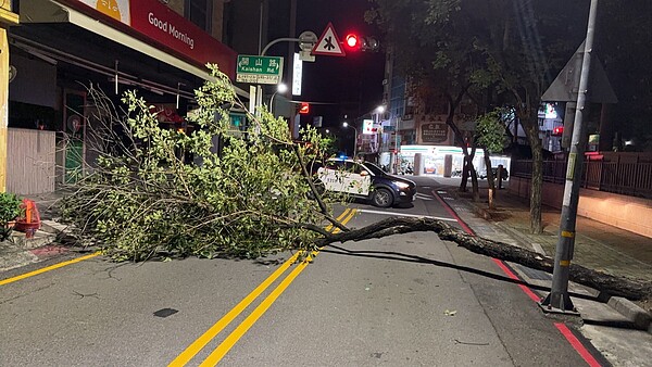 台南市中西區開山路與樹林街二段口，昨晚約9點突然發生路樹倒塌，沒有傷及往來人車。記者黃宣翰／翻攝