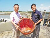 台肥活力3號 改善漁業養殖