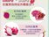 1張圖秒懂紅龍果怎區分紅肉白肉　專家：想要順暢就吃它