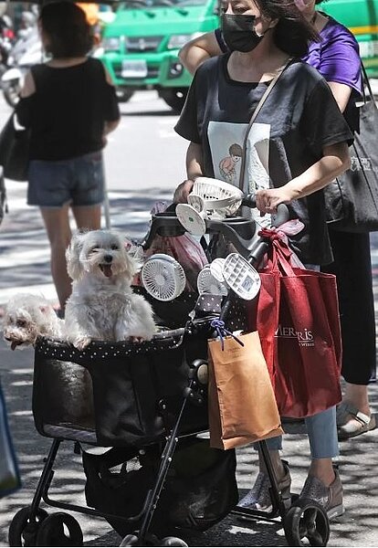 近期天氣高溫炎熱,高溫普遍可以來到32至36度。圖/聯合報系資料照片