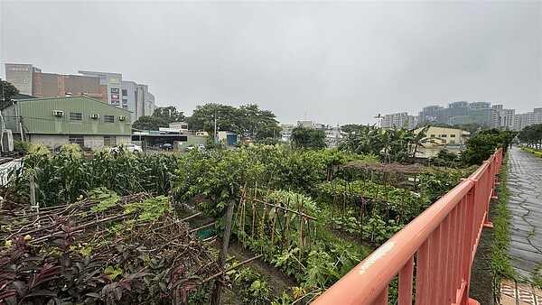 苗栗縣都市計畫公共設施用地解編,縣府首波擇定竹南頭份整體開發範圍四,推動公辦市地重劃。圖/聯合報系資料照