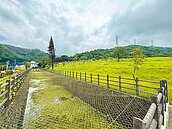 新莊第一公墓　月底完成遷葬