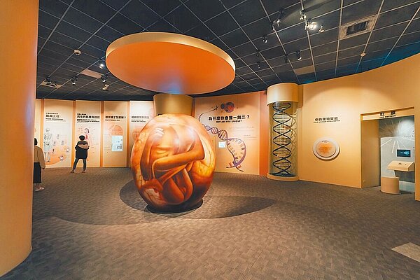 有網友爆料,科博館生命科學廳展區傳出色狼偷拍女童事件,科博館15日說明,將加強館內巡警,主動積極巡視展場狀況,防範展場發生不當安全事件;據了解,警方已鎖定特定嫌犯,正追查、釐清案情。圖/科博館提供