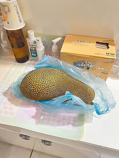 基隆市消防局18日凌晨民眾報案,位於信義區教孝街某社區疑似傳出濃厚「瓦斯味」,消防員至現場發現是成熟「榴槤蜜」散發的氣味,結束一場虛驚。(翻攝畫面/徐佑昇基隆傳真)