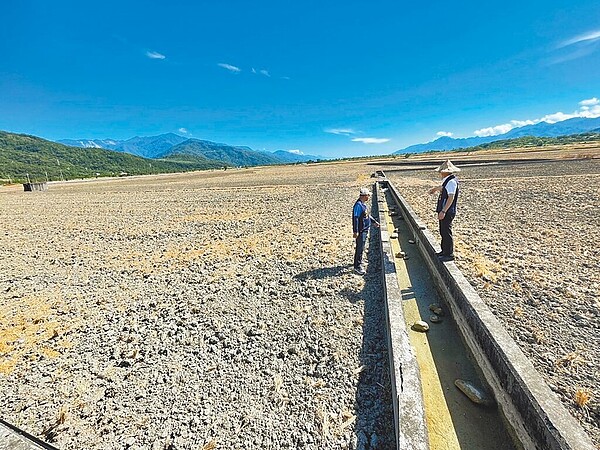 花蓮縣玉里鎮、富里鄉面臨嚴重乾旱,農民眼見二期稻作準備整地、插秧,但溝渠已乾枯,憂心將面臨休耕。圖為富里鄉萬寧地區稻田現況。(花蓮縣富里鄉公所提供/羅亦晽花蓮傳真)