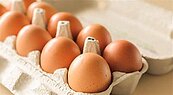 蛋價回春！雞蛋批發價四月來首度上漲3元