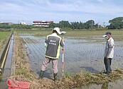 機會難得！　台南市釋出8筆農村重劃抵費地標售