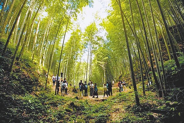 雲林古坑鄉草嶺石壁森林療癒基地近年成為熱門綠色旅遊景點，雲林縣府為此委託雲林科技大學評選7名優秀設計師為古坑鄉旅宿業者改頭換面。圖／雲林縣府提供，周麗蘭雲林傳真