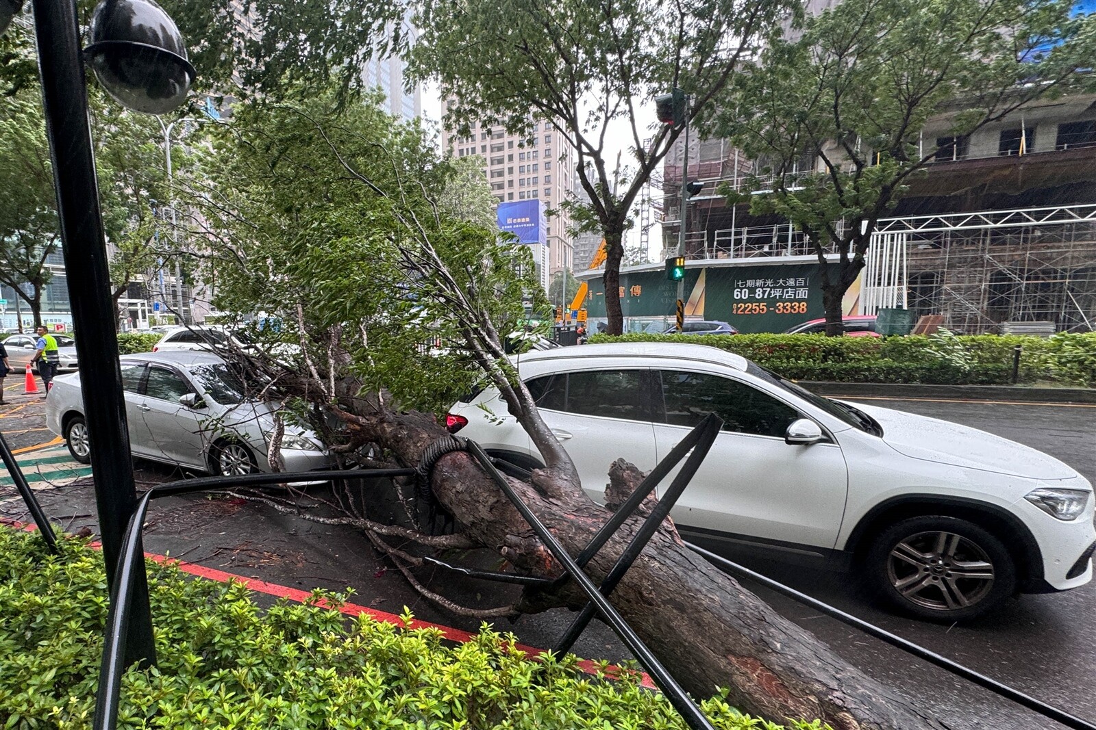 凱米颱風來襲，台中市颳起陣陣強風，吹倒不少路樹，政北七路上一棵路樹傾倒，壓住兩輛轎車。記者黃仲裕／攝影 