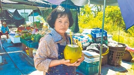 人稱「都蘭水姑娘」的江鳳蘭經營椰子攤多年，挑選椰子有一套，她不藏私分享祕訣「首選老椰」，與青椰相比，椰肉厚、椰汁甜。（蕭嘉蕙攝）