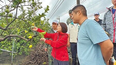 強颱凱米肆虐屏東縣,初估農損2.4億元、全台最嚴重,縣長周春米(左)26日一早前往高樹、里港、九如等鄉鎮視察。(謝佳潾攝)