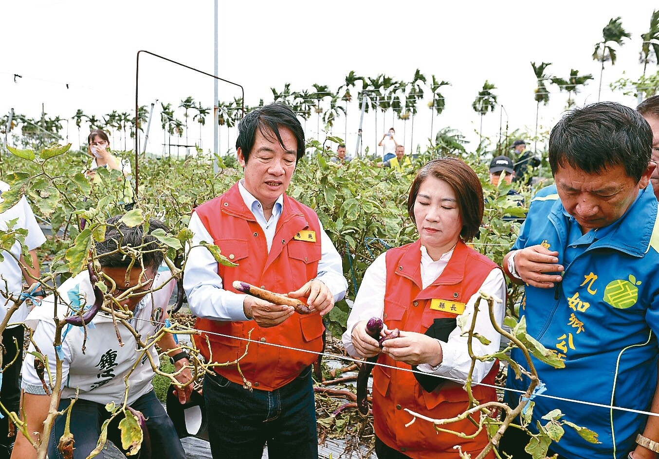 賴清德總統（左二）昨天到屏東勘災，關心屏東九如農民種植茄子的災害情況，對民眾受淹水之苦表示歉意。記者劉學聖／攝影 