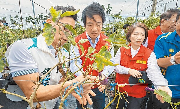 賴清德總統（中）27日在屏東縣長周春米（右2）等陪同下，到南州、九如、東港一帶視察凱米颱風災情。圖／總統府提供