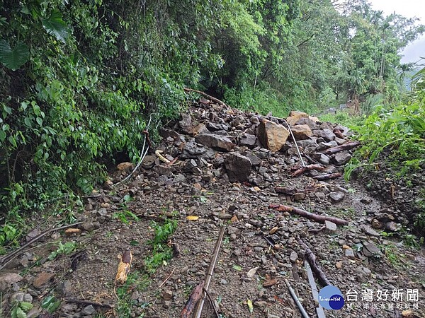 凱米颱風造成阿里山林鐵多處邊坡土石崩落及倒樹/林鐵處提供