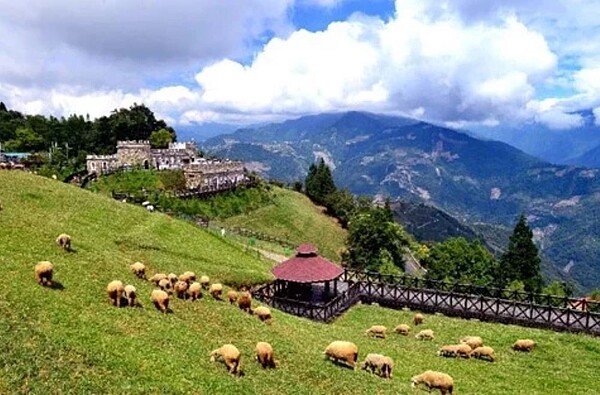 清境農場。圖/退輔會提供
