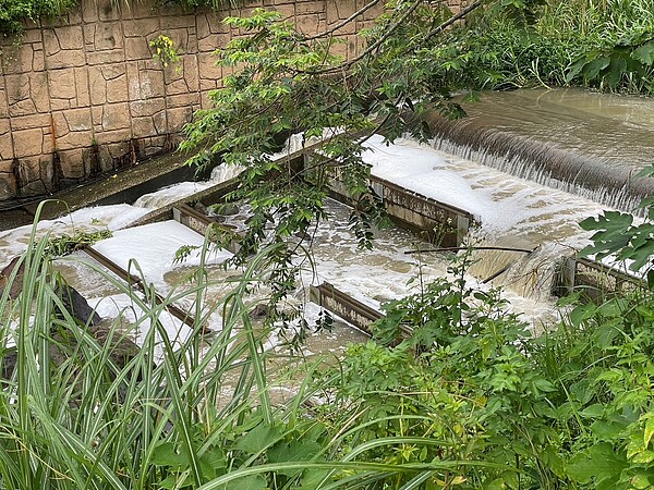 7月26日公司田溪出現泡泡污水。圖/新北市環保局提供