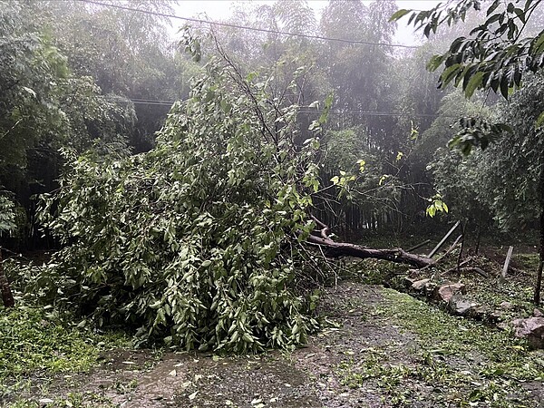 大雪山仍有多處道路遭重創未通,停電6天,台電今進入搶修,承諾今天可供電。圖/ 李呈琿提供