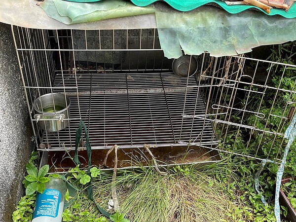 動保處指出，現場無提供飼料、水質不佳，飼養環境髒亂。圖／動保處提供

