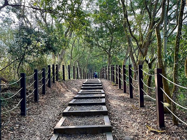 大坑1號步道木製格框階梯。圖/台中市風管所提供