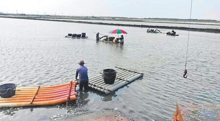 
雲林縣台西鄉上千公頃文蛤池因颱風淹水，雨水造成池水鹽度不足，文蛤生長大受影響，漁民30日表示，文蛤的災損有延遲性，希望相關單位日後能協助申請天然救助。（張朝欣攝）
