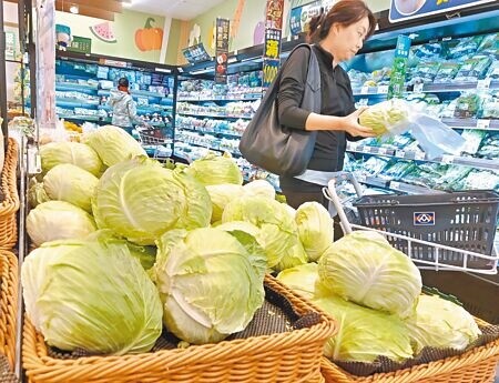 
受颱風影響，國內菜價飆漲。圖為超市販售的高麗菜。（本報資料照片）
