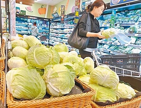 
受颱風影響，國內菜價飆漲。圖為超市販售的高麗菜。（本報資料照片）
