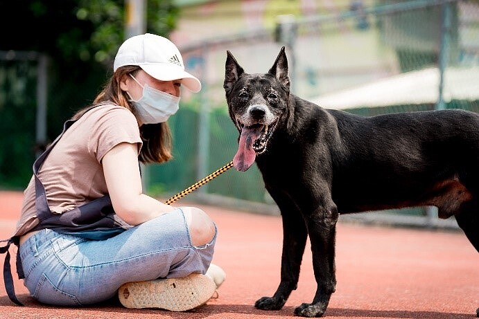 藥師公會全聯會理事長黃金舜表示,全國犬貓登記數量高達近300萬隻,估計未登記數量為登記數量的5倍,而寵物相關商品每年市場高達600億元,尤其是毛小孩吃的眼睛葉黃素、骨骼等保健食品,為藥局未來潛在市場。示意圖。報系資料照