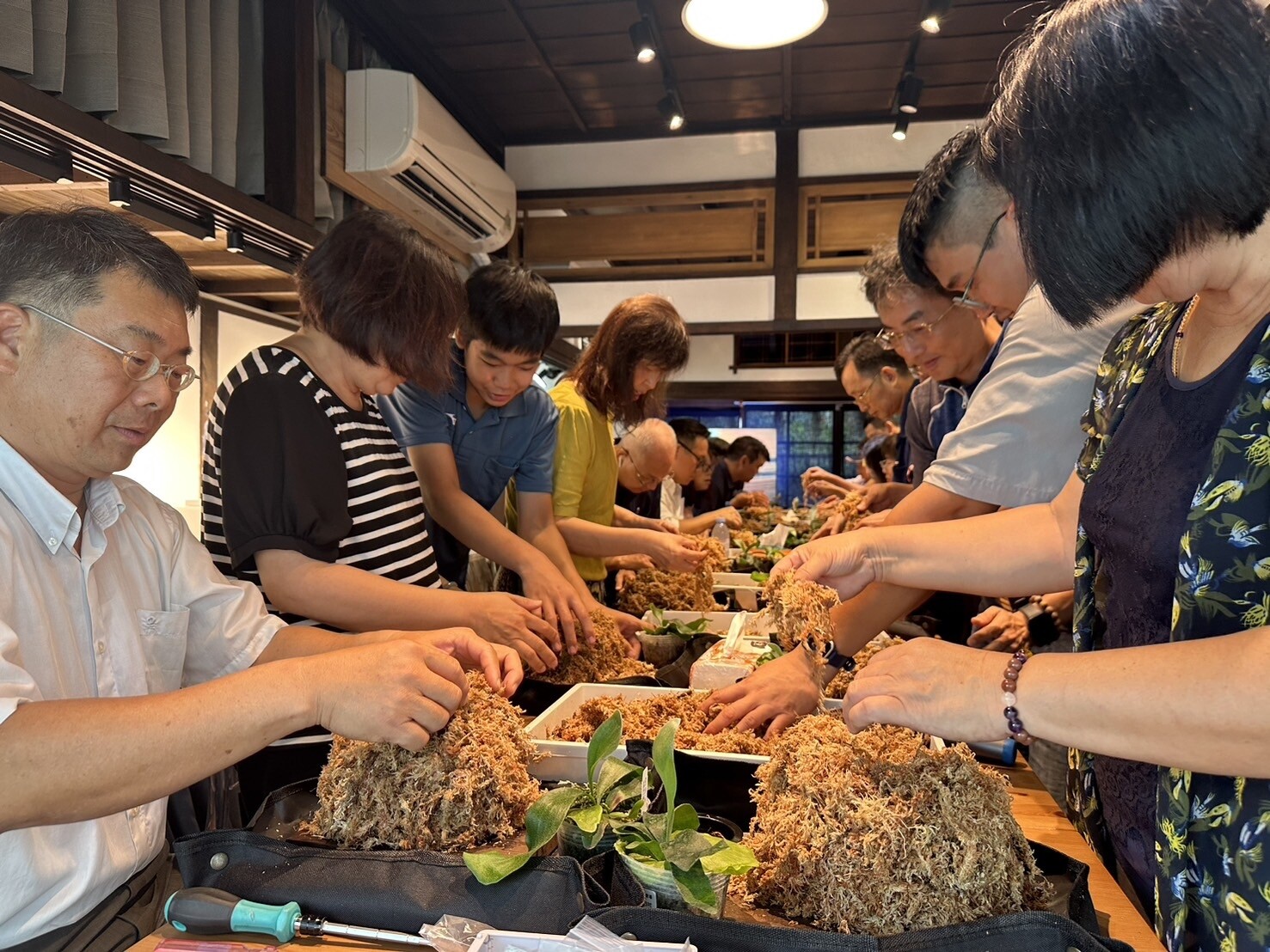 屏東市中正國小校長宿舍是屏東縣歷史建築，歷經修復後，經招商後由熱愛植物團隊「森舍聚場」運營，6日正式開幕，搭配展覽，縣內數10名校長齊聚製作鹿角蕨，賦予老校長宿舍新生命。記者劉星君／攝影 