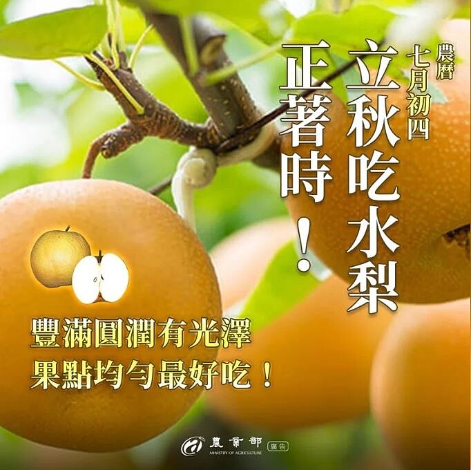 立秋食水梨正著時。圖/取自「農業部」臉書粉專