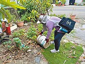 台南登革熱防疫從嚴　基層怨言多