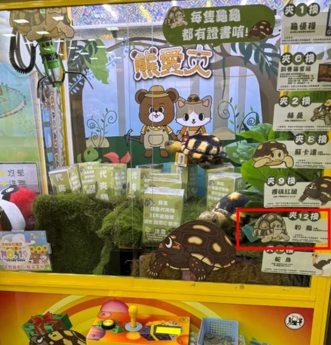 高雄某夾娃娃機店,可用代夾物換烏龜。圖/台灣消保會提供