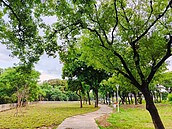 整治河道變空地　楠梓五常公園脫胎換骨