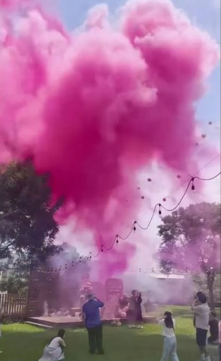 台中霧峰一家餐廳辦性別趴在草坪上施放煙火,現場造成大量粉塵飄散,顧客四處逃散。圖/翻攝自Dcard