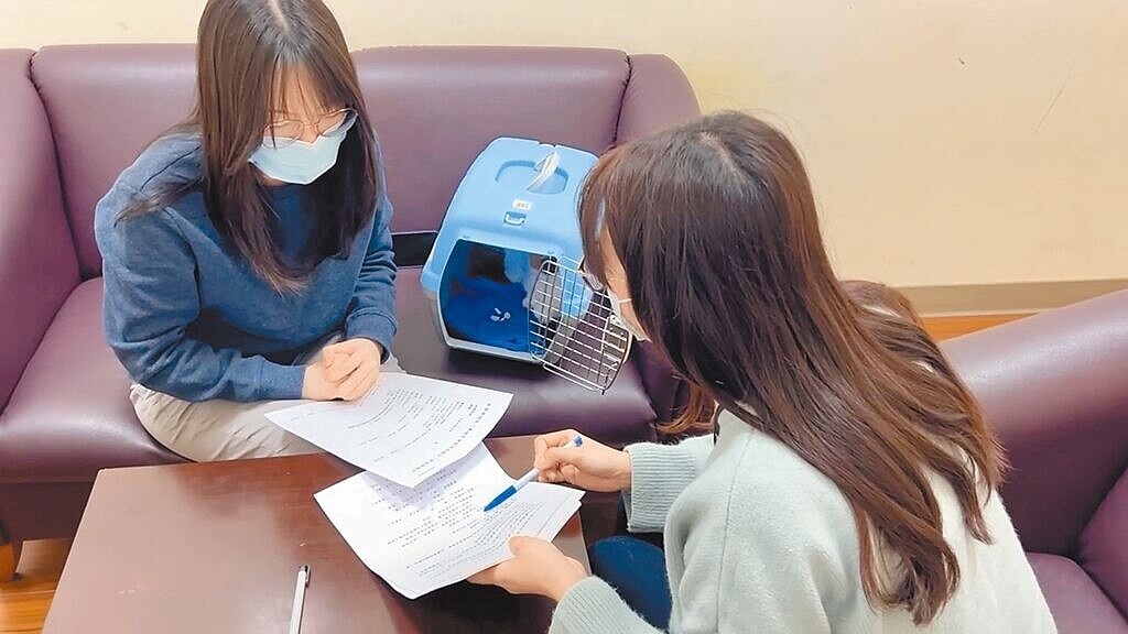 新北市家防中心提醒,當親人或伴侶出現言語肢體暴力、跟蹤騷擾、破壞家中物品或傷害寵物等不當行為,請撥打113專線,勇於尋求協助。示意照,非新聞事件當事人。圖/新北市家防中心提供