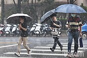 雲雀颱風北上西南風增強　今明兩天中南部防豪大雨