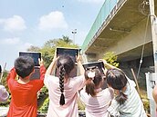 雲林紫斑蝶大軍抵林內　國3外側急封道