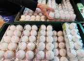 逾5580萬顆過期進口蛋銷毀中　進度尚未公開