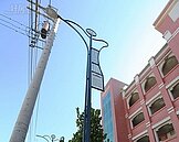 中市建設局招募道路報馬仔志工　即日起報名