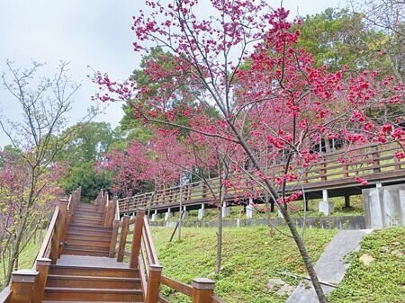 
長庚養生村。（賴佑維攝）
