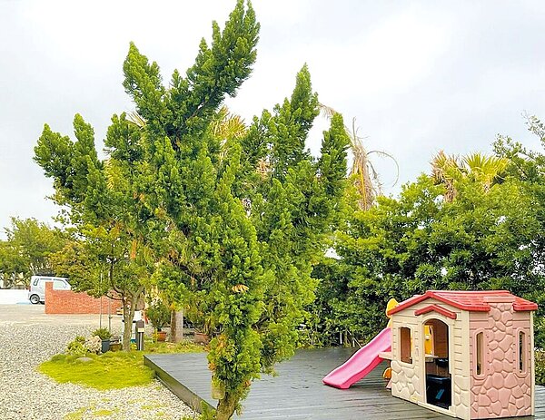 台東縣成功鎮比西里岸營地今年3月中成為台東首家完成設立登記程序的露營場。圖/台東縣府提供