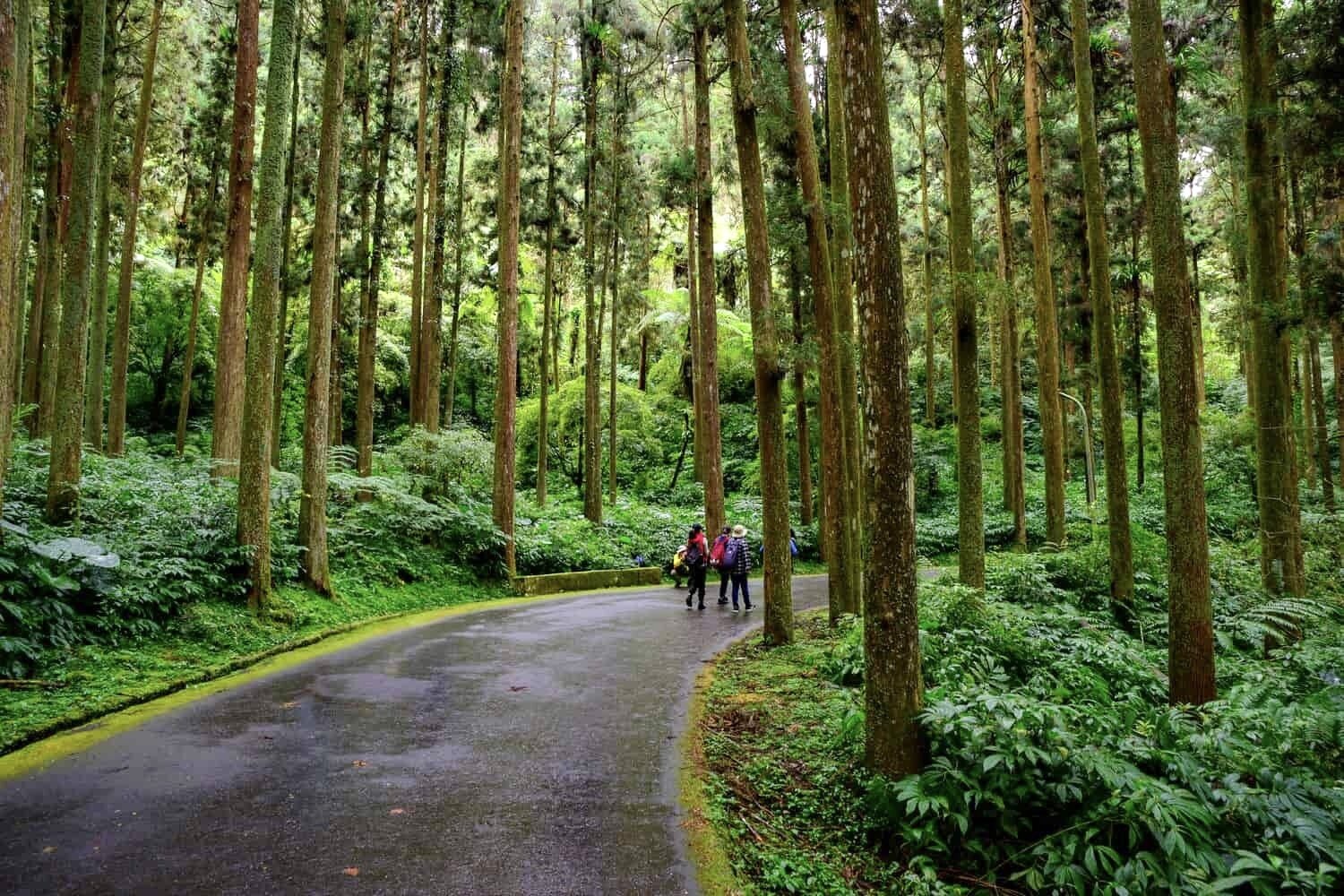 擁有好山好水的景區,深受事業有成、注重身體健康的「壯世代」族群喜愛。記者宋健生/攝影