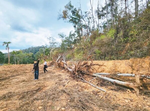 埔里農莊開發案遭指控濫伐山林，業者澄清是整理次生林。圖／聯合報系資料照片
