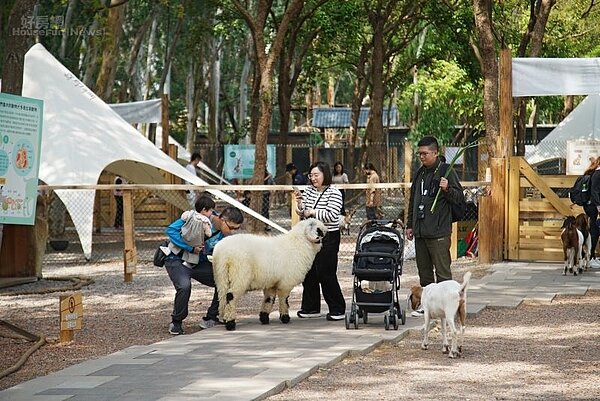 咩咩上樹萌寵樂園3