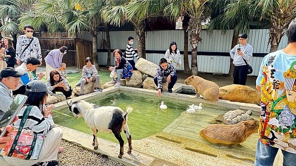 廢物媽媽育兒農場4