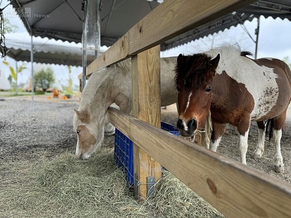 稻庄休閒農場02