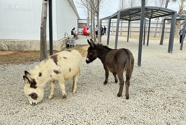 廢物媽媽育兒農場01