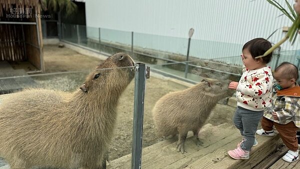 廢物媽媽育兒農場02