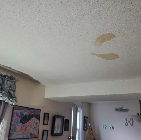 一名網友指出租屋處天花板上出現兩片大小差不多的淡咖啡污漬，儘管已請人重新上漆，但過幾天後又再出現，還會移動到不同位置。圖擷自Reddit