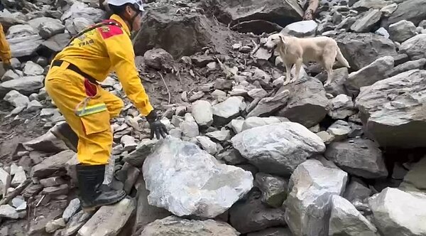 高雄搜救犬「Roger」立大功,6日上午跟著特搜隊員李信宏在花蓮砂卡礑步道出任務,在土石掩埋的巨石堆中,協助找到第3具罹難者胡姓女子的遺體。圖/記者石秀華翻攝
